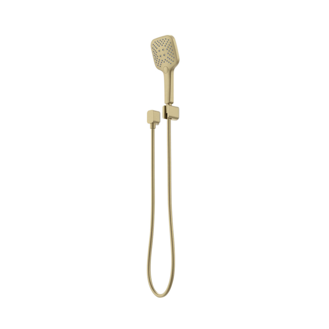 Caroma Luna Multifunction Hand Shower Brushed Brass