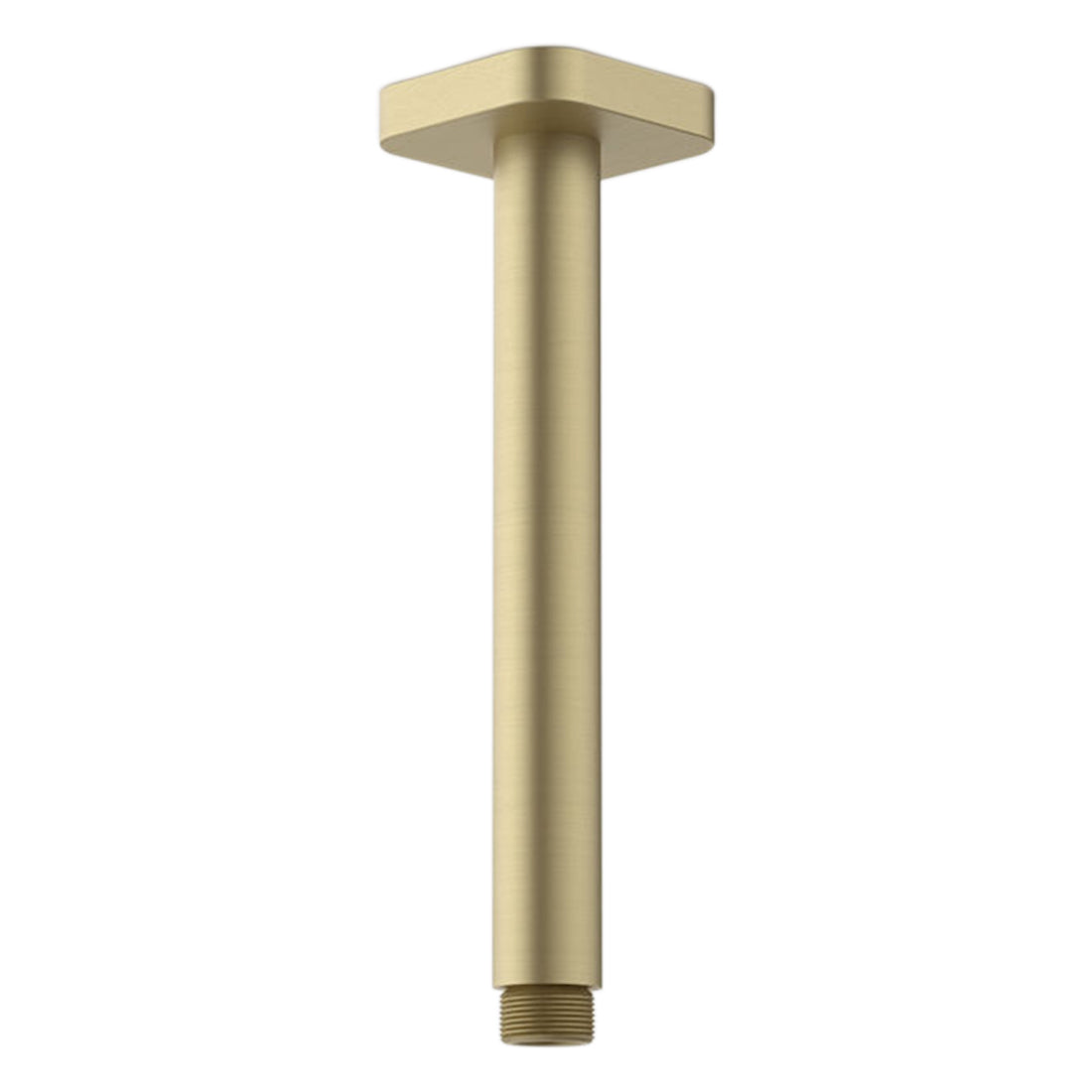 Caroma Luna Straight Arm Square Flange 210 Brushed Brass
