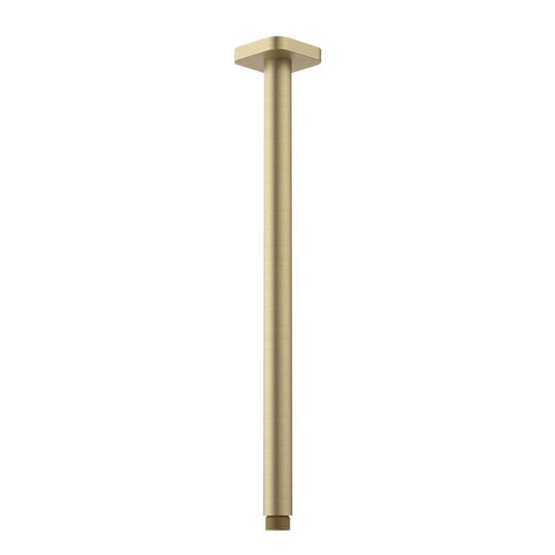 Caroma Luna Straight Arm Square Flange 410 Brushed Brass