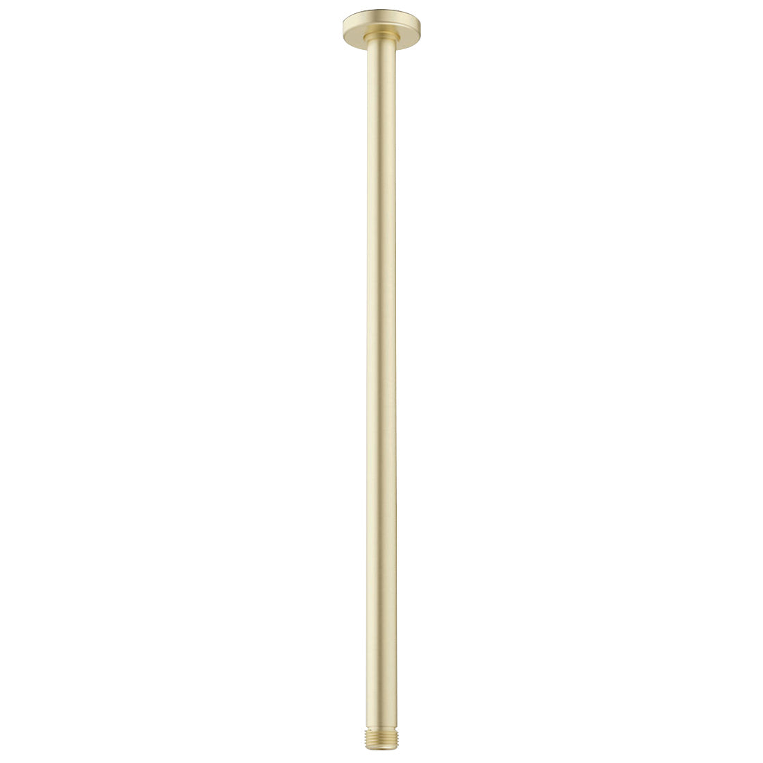 Caroma Urbane II 500mm Ceiling Shower Arm Brushed Brass