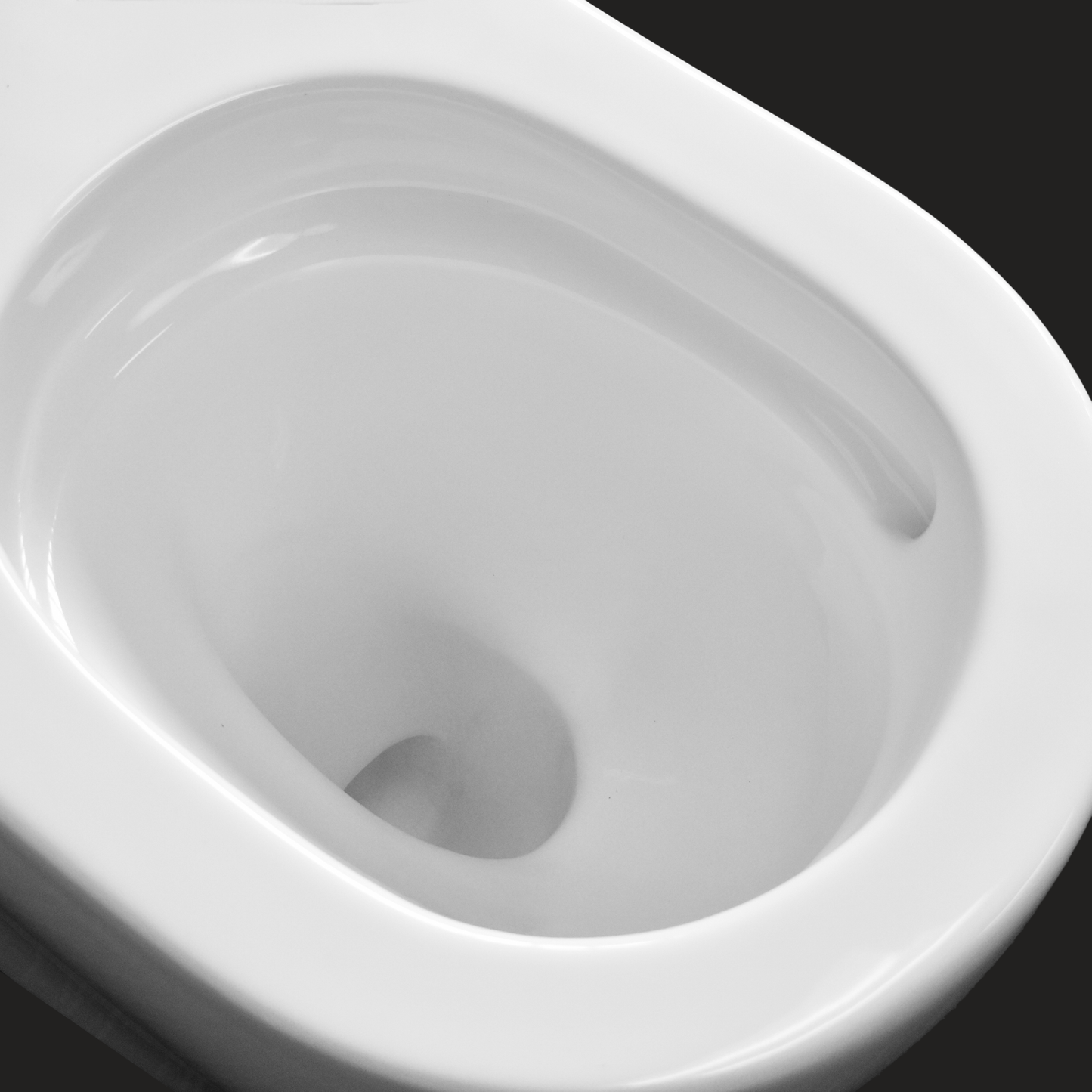 Naples Comfort Height Back To Wall Toilet Suite