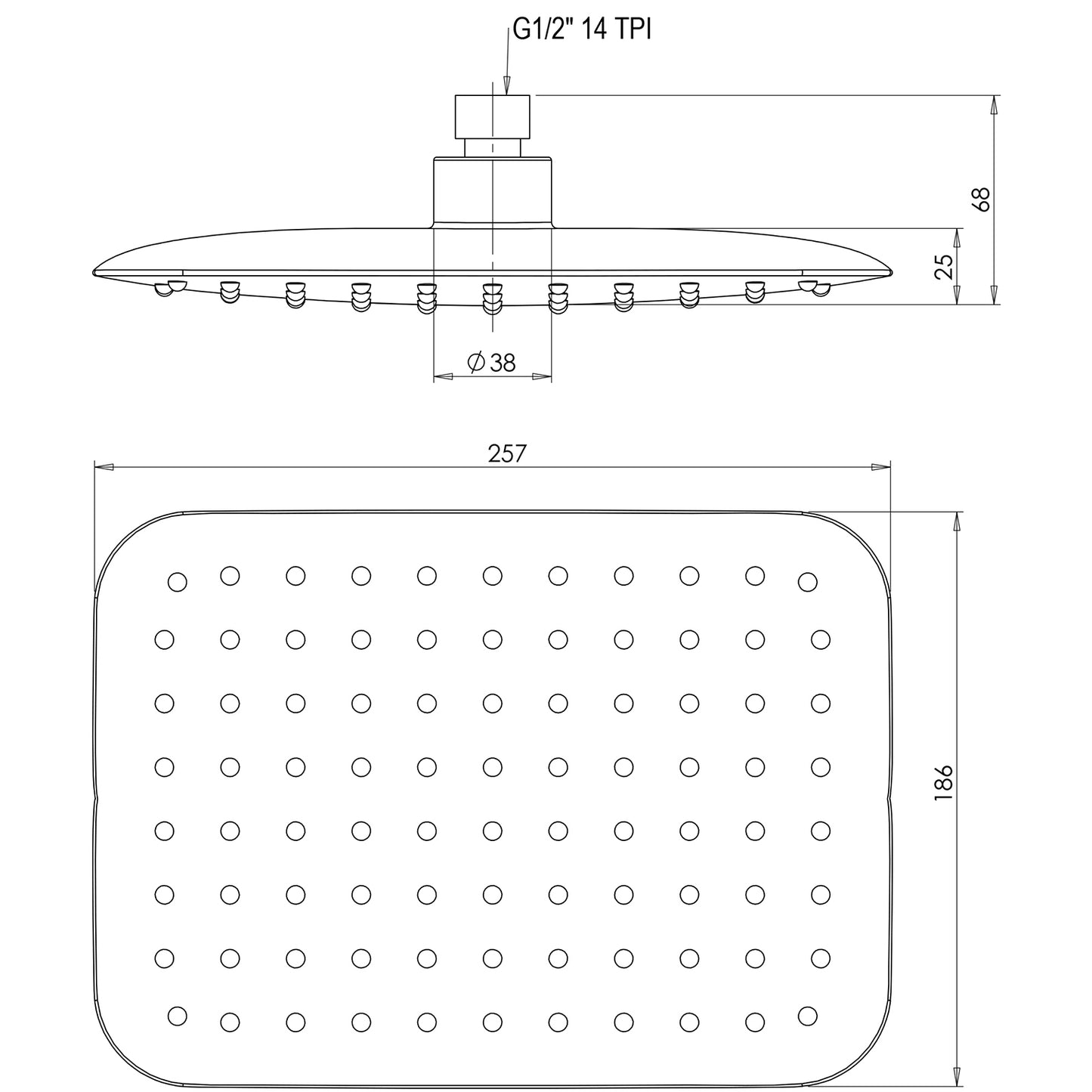 Rush Shower Rose 200 x 250mm