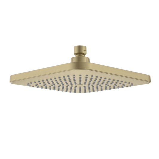 Caroma Luna Overhead Shower Head Brushed Brass
