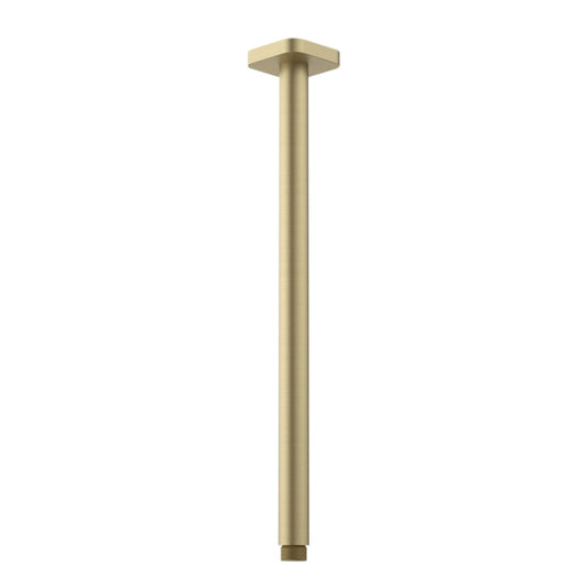 Caroma Luna Straight Arm Square Flange 410 Brushed Brass