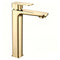 Brushed Aurum