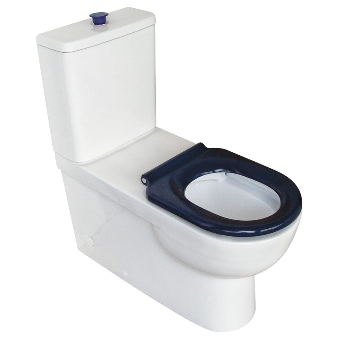 Fienza Stella Care Back-to-Wall Toilet Suite, Blue Seat, P-Trap, Bottom Inlet