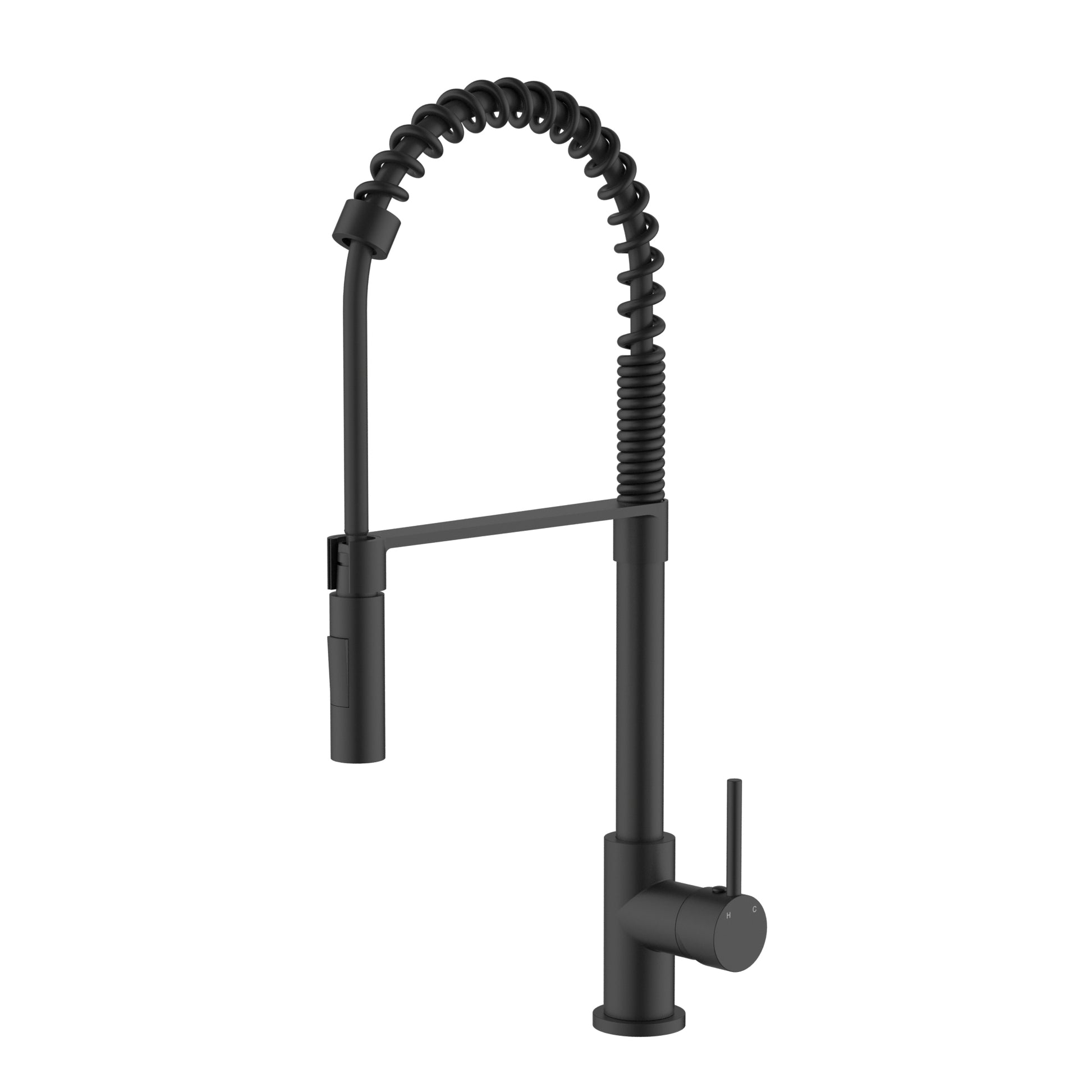 Kasper Spring Multi-Function Kitchen Mixer
