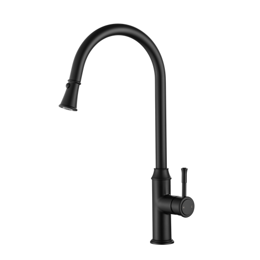 Montpellier Pull-Out Kitchen Mixer