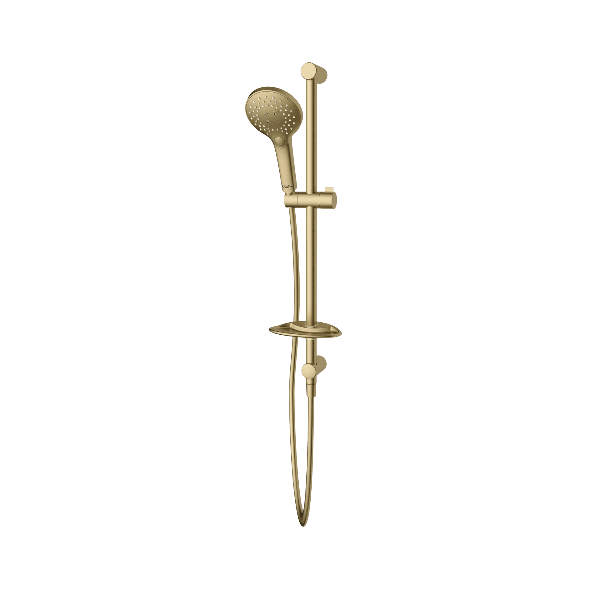 Rome Hand Shower With Rail