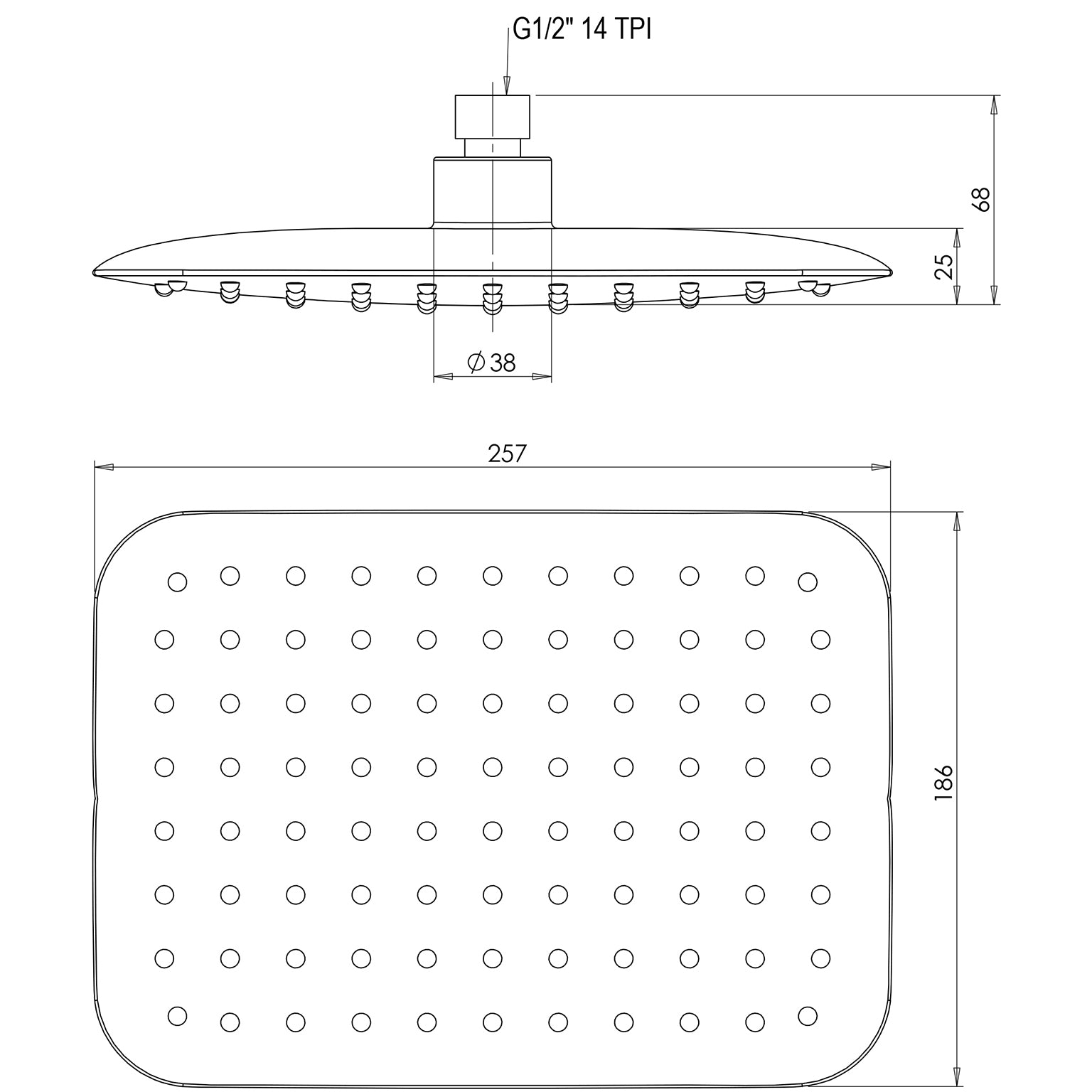 Rush Shower Rose 200 x 250mm