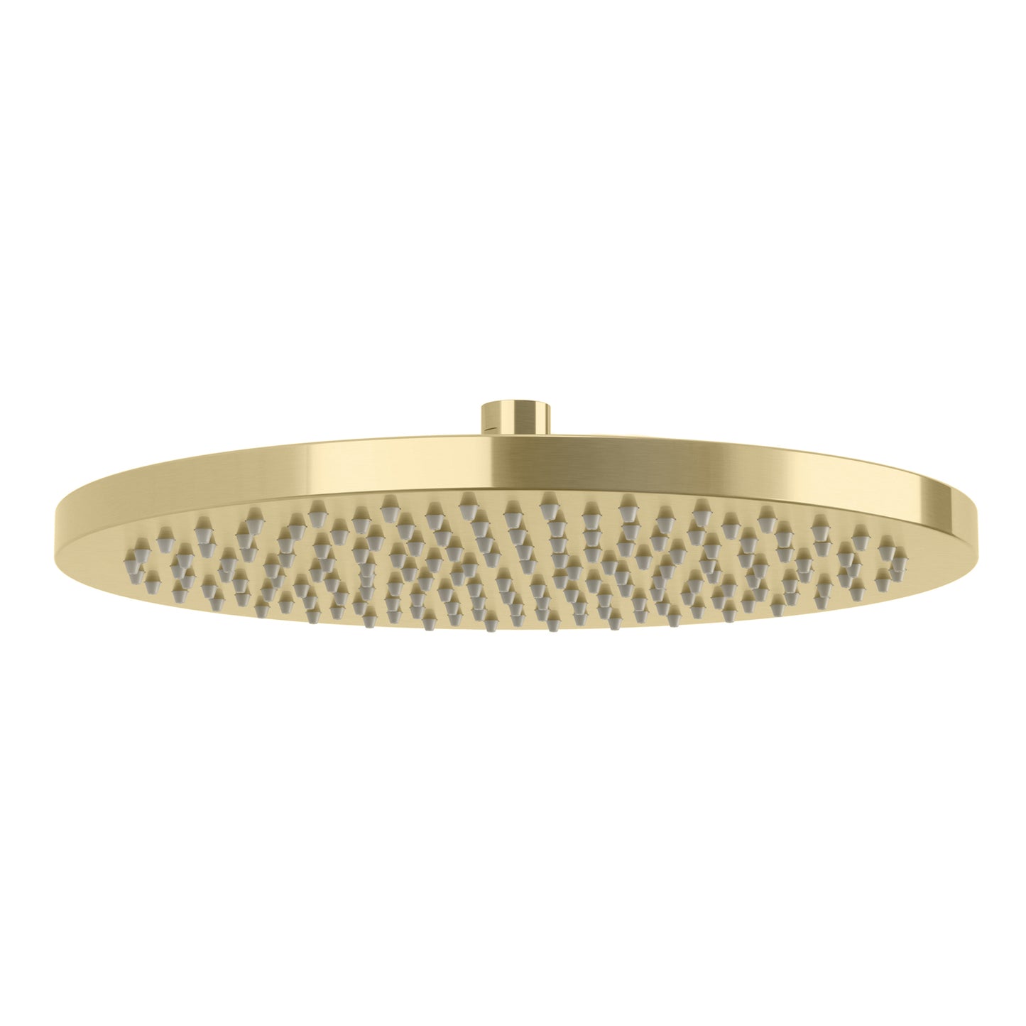 Vivid Shower Rose 300mm Round