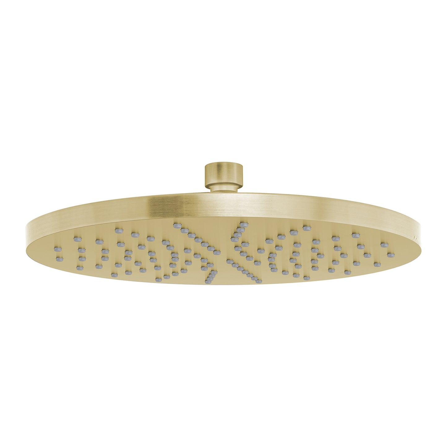 Vivid Shower Rose 230mm Round