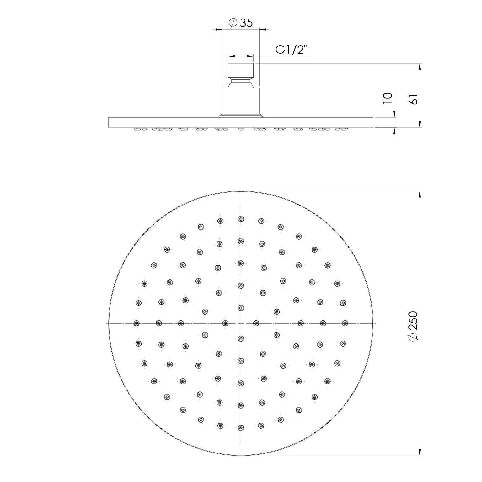 Vivid Shower Rose 250mm Round