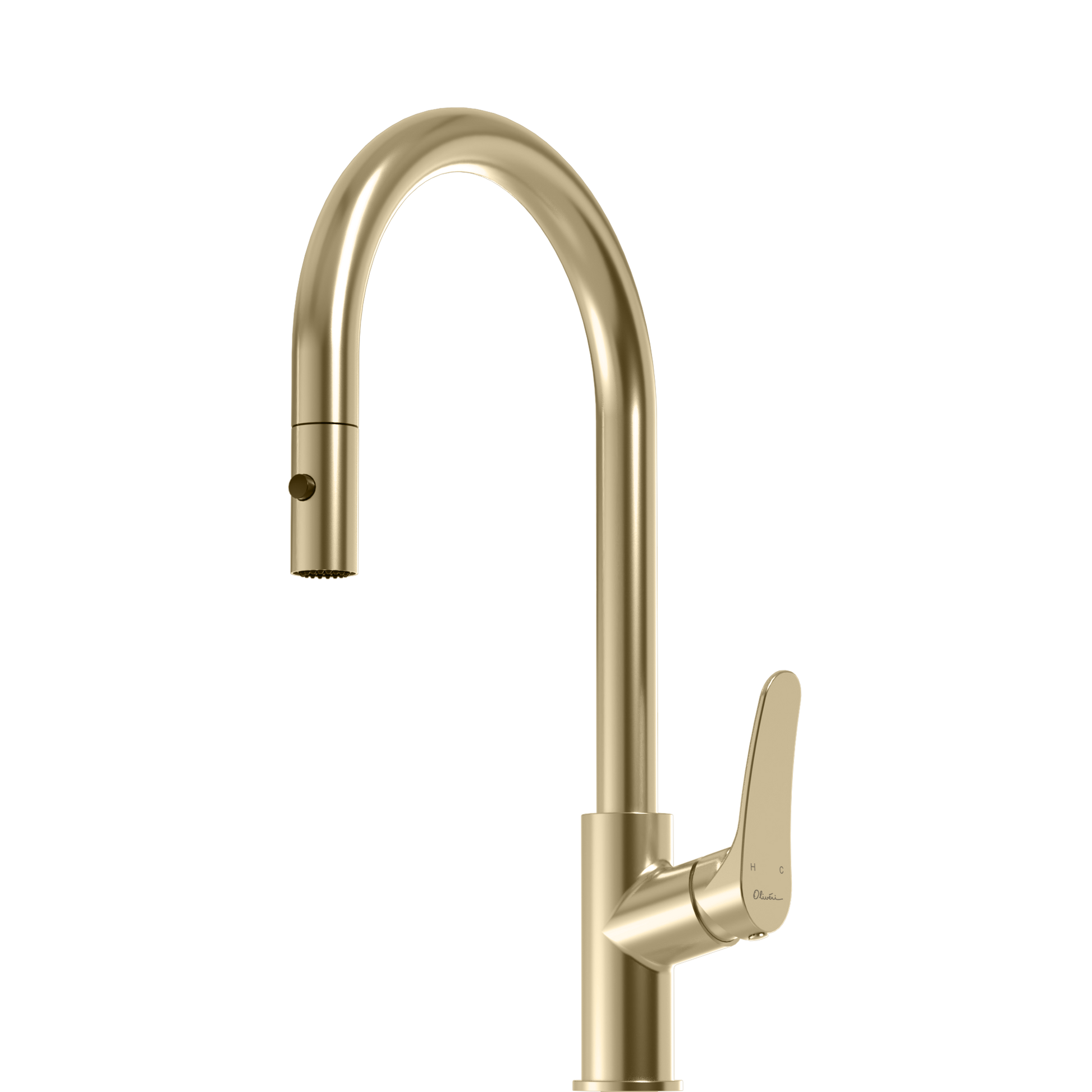Verona Pull Out Goose Neck Spray Mixer
