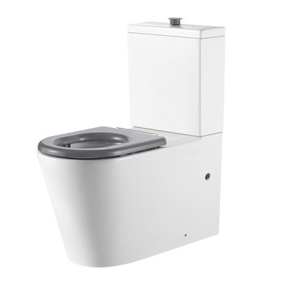 Vienna Back To Wall Care Toilet Suite With Grey Seat and Buttons