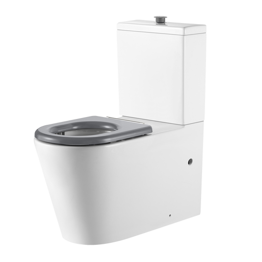 Vienna Back To Wall Care Toilet Suite With Grey Seat and Buttons