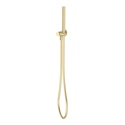 Vivid Slimline Microphone Hand Shower